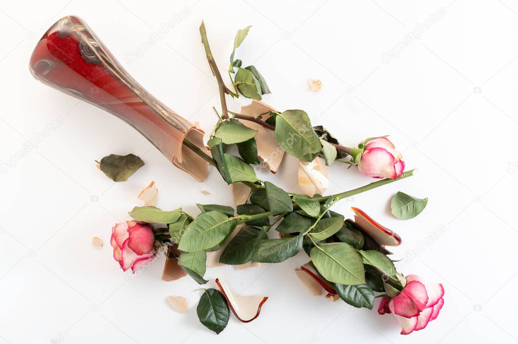 Broken glass vase. Broken vase of flowers. Broken vase of roses on the floor. Top.