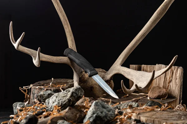Охотничий Нож Рога Нож Рога Животных Вид Спереди — стоковое фото