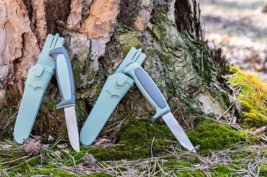 Farklı sapları olan benzer iki bıçak. Farklı çelikten bıçaklar. Çam ağacının yanında duran bıçaklar. Plastik kılıflı bıçaklar..