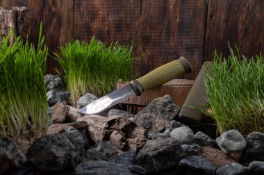 Bacağında büyük parlak bir bıçak olan bir bıçak. Taş ve kütük üzerinde bıçak..