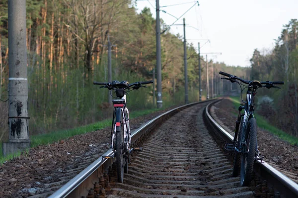 철로위에 자전거 두 대. 자전거는 레일 위에 있다. 전 세계를 여행하고 숲 속에서 자전거를 타고. — 스톡 사진