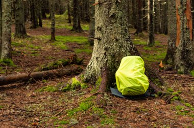 Ağacın yanında turist çantası. Sırt çantası yağmur korumasıyla kaplı. Ormanda sırt çantası.