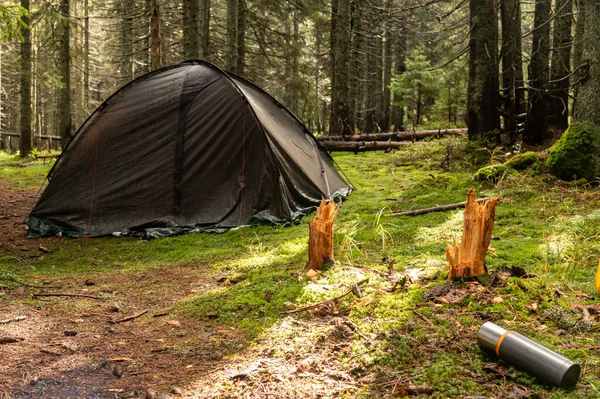 Turisttält Skogen Termos För Varma Drycker Övernattning Skogen Camping Skogen — Stockfoto
