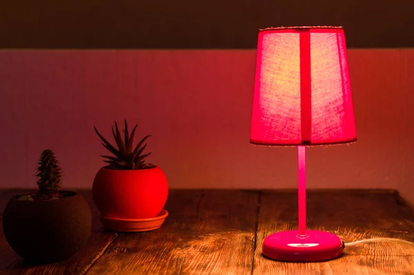 Home interior on the table. Pink table lamp and cactus. Glowing lamp on the table. — Stock Photo, Image