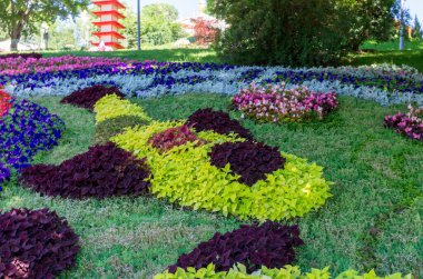 Sokak'ın bahçesinde floristics. Dekorasyon balık şeklinde. Park sahne.