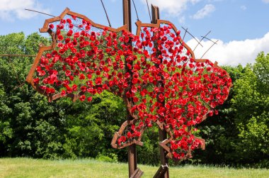 Ukrayna haritası üzerinden kırmızı gelincik. Kiev tarihi Müzesi.