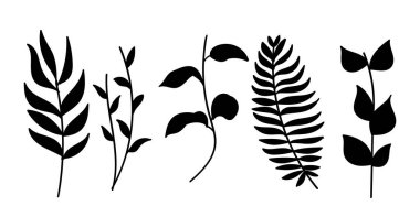 Farklı yaprak şekilleri, bir palmiye yaprağı ve yapraklı dallar da dahil olmak üzere çeşitli botanik elementlerden oluşan beş siyah siluet koleksiyonu..