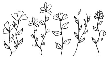 Çiçekler El Çizgisi Sanat Koleksiyonu Basit Botanik Elementleri. Vektör İllüstrasyonu