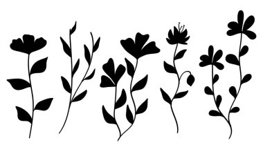 Siluet kır çiçekleri ve doğa koleksiyonunu bırakıyor. Vektör illüstrasyonu