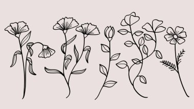 Çiçekler el çizimi doğa sanat eseri koleksiyonu. Vektör illüstrasyonu