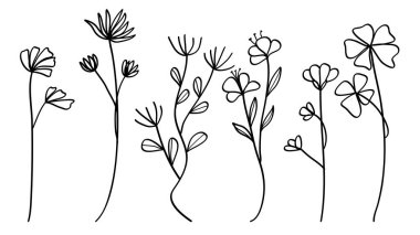 Çiçek çizgisi sanat eseri koleksiyonu. Vektör illüstrasyonu.