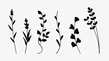 Siluet doğa bitkileri. Botanik siluet. Vektör illüstrasyonu