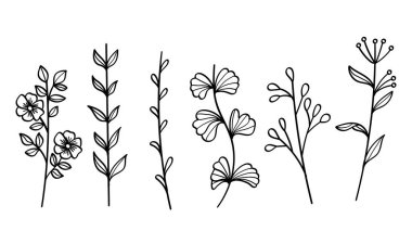 Botanik Çizgisi Sanat Koleksiyonunu Ayarla Çiçek ve Yaprak Basit Elementi. Vektör İllüstrasyonu