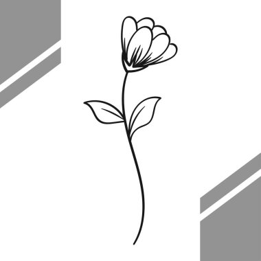 Basit El Çizimi Çiçek Kökü Çizimi Sanat Resimleri. Vektör illüstrasyonu.