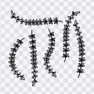 Lavanta çiçek çizgisi çizimi koleksiyon dekorasyonu çizimi