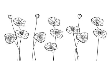 El Haşhaş Çiçeği ve Kök Çizgisi Sanat Koleksiyonu. Vektör illüstrasyonu.