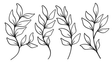 Karmaşık detaylarla dolu bir yaprak dalı. Vektör illüstrasyonuName