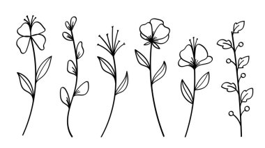 Çiçek Kökleri 'nin minimalist çizimi. Vektör illüstrasyonu