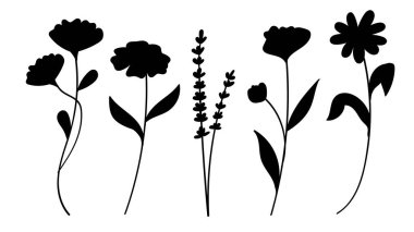 Beyaz arkaplanda çeşitli çiçeklerin silueti.