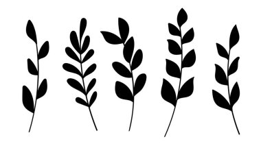 Beyaz arkaplanda beş siyah siluet yaprak tasarımı koleksiyonu