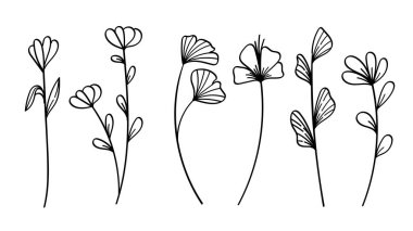 Botanik Çiçekleri ve Yaprak Çizgisi Sanat Elleri Koleksiyonu. Vektör İllüstrasyonu