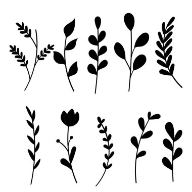 Siluet Bitkileri, Yapraklar ve Çiçek El Çizimi Botanik Elementi. Vektör İllüstrasyonu