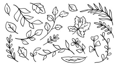 Yaprak ve Dalların Çizgileri. Vektör illüstrasyonu