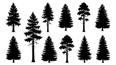 Siluet Çam Ağacı Ormanı Koleksiyonu Evergreen Kozalaklı Doğa Elementleri. Vektör Paketi