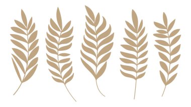Palm Leaves Gold Silhouette Koleksiyonu Vintage Tropikal Elementler. Vektör Ayarları