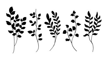 Beyaz arka planda çeşitli botanik yaprakların silueti. Vektör illüstrasyonu