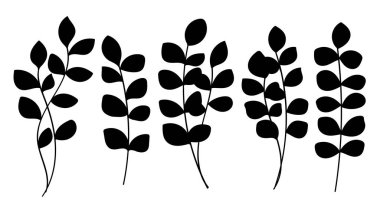 Beyaz arka planda basit yapraklı beş yapraklı siluet.