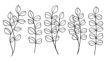 Okaliptüs Bundle Illustration Branch with Leaves Outline Hand Drawn Set. Vektör Satırı Sanatı
