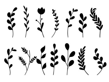 Siluet Bitkileri, Yapraklar ve Çiçek El Çizimi Botanik Elementi. Vektör İllüstrasyonu