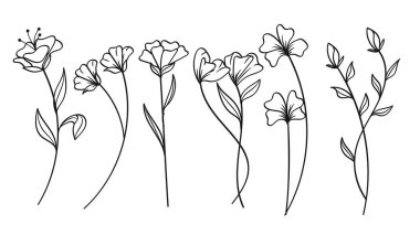 Çiçek Hattı Sanat Elleri Yaban Çiçeği Çekiyor. Vektör İllüstrasyonu
