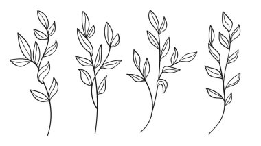 Leaves and Tree Branch Line Art Hand Drawn Set. Vector Illustration
