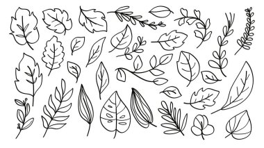Doğa temalı tasarım için minimalist siyah çizgi sanat tarzında çeşitli el yapımı yapraklar ve botanik dallardan oluşan bir koleksiyon..