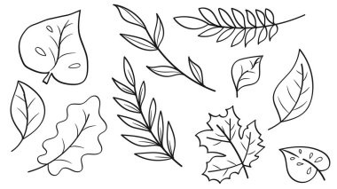 Çizgi El Çizimi Botanik Yaprak Koleksiyonu. Vektör İllüstrasyonu