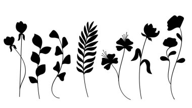 Beyaz arka planda izole edilmiş çeşitli çiçek, yaprak ve eğreltiotu kökleri içeren basit bir siyah botanik siluet koleksiyonu.