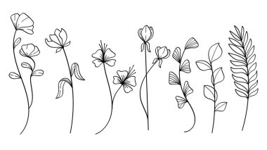Bitki Hattı Sanat Botanik Seti ve Tuhaf El Çekimi Çiçekleri. Vektör İllüstrasyonu