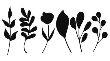 Siluet Botanik Yapraklar El Çizimi Doğa Elementleri. Vektör İllüstrasyonu