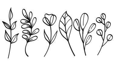 Botanik Çizgisi Sanat El Çizimi Doğa Elementleri. Vektör İllüstrasyonu