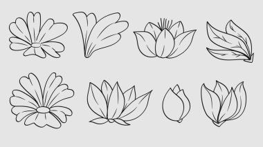 Çiçek Bud ve Çiçekler El Çizgisi Koleksiyonunu Bırakıyor. Vektör İllüstrasyonu