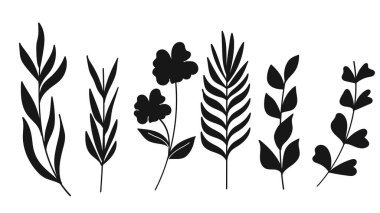 Botanik Siluet Bitkiler ve Çiçekler Geliştirme Çizimi