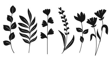 Minimalist Çayır Bitkisi Elementleri ile Botanik Yaban Çiçeği Silueti. Vektör İllüstrasyonu