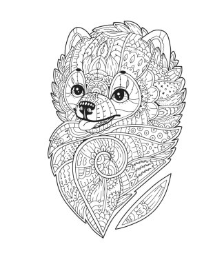 Zentangle köpek vektörde stilize. Pomeranian spitz. 