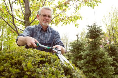 Bir bahçıvan tulum içinde çalı mows