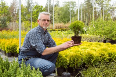 genç bitki tutarak çalışma Bahçe Merkezi