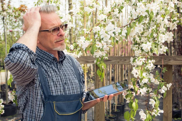 Jardinier a pris sa tête et tenant un comprimé pc, échec — Photo