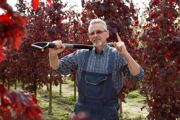 Le jardinier avec une pelle debout sur un fond d'arbres rouges, attention ! — Photo