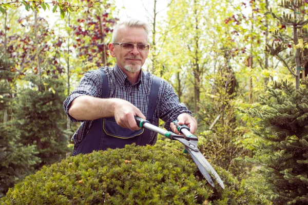 Un giardiniere in tuta taglia cespugli — Foto Stock